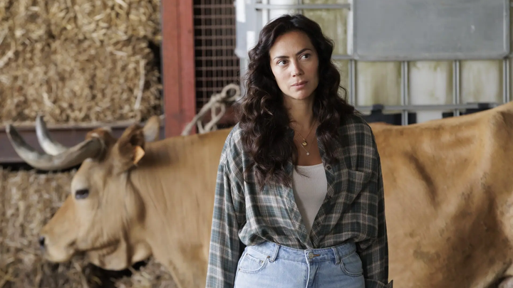 ‘Senhora do Mar’: Joana pede o divórcio a Alex e exige a guarda total da filha após o desaparecimento de Manuel